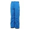 Dare2be Ski Broek Jongens Step It Up -Ski Verkoopwinkel dare2be jongens skibroek step it up